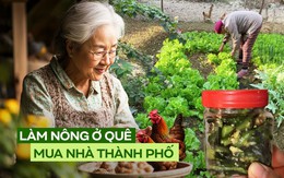 Nói đến tiết kiệm, tôi chắc chắn phải học rất nhiều từ mẹ chồng, người đã mua được 2 căn nhà từ nghề làm ruộng