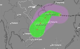 Bão số 7 duy trì cấp 14 trên Biển Đông, hướng về vùng biển Quảng Trị – Quảng Ngãi