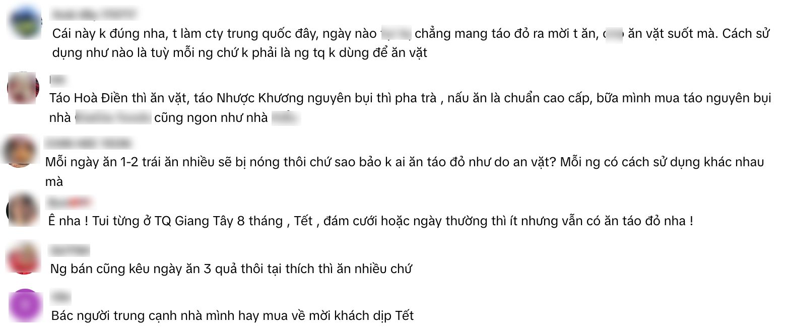 "Không ai ăn táo đỏ như đồ ăn vặt như Việt Nam mình hiện tại", phát ngôn của TikToker khiến MXH bùng nổ tranh cãi - Ảnh 3.