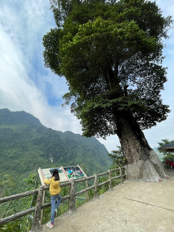 Hành trình khám phá Hà Giang của cô bé 5 tuổi: Chuyến đi cùng thiên nhiên, văn hóa và những bài học đáng giá