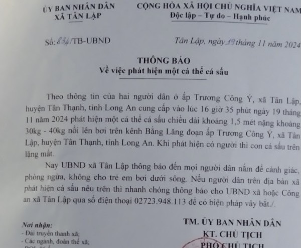 Phát cảnh báo khi liên tiếp phát hiện cá sấu nổi trên kênh ở Long An - Ảnh 1.