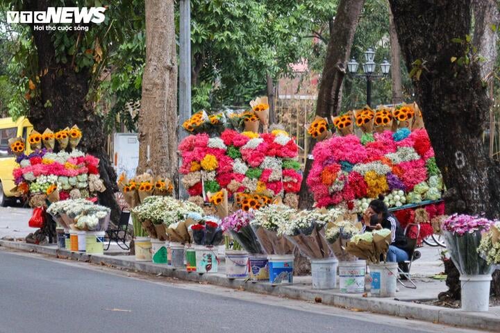 Sát ngày 20/11, hoa tươi tăng giá mạnh - Ảnh 3.