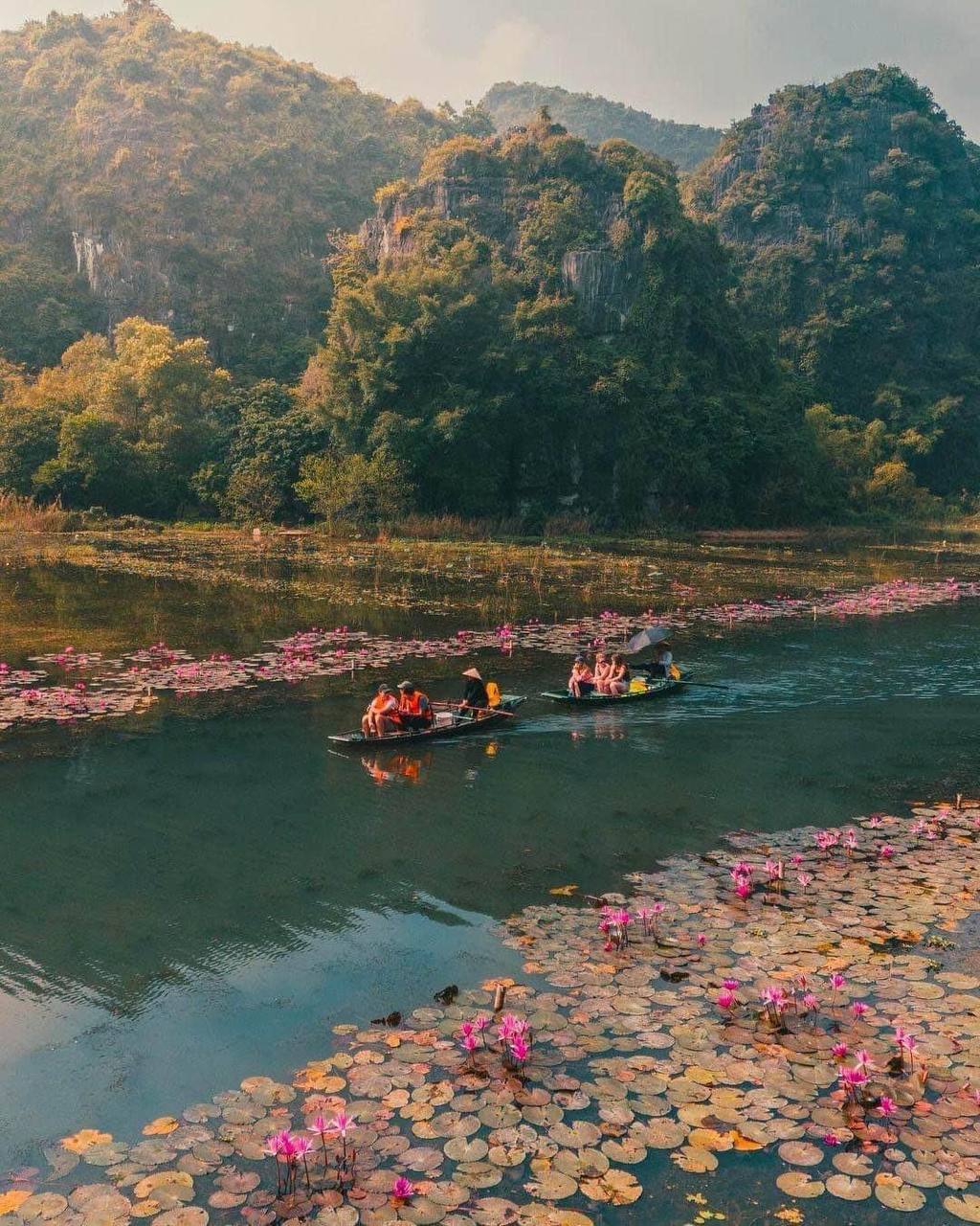 Tam Cốc - Ninh Bình mùa này có gì lạ mà khách Tây cứ phải giơ điện thoại liên tục?- Ảnh 6.