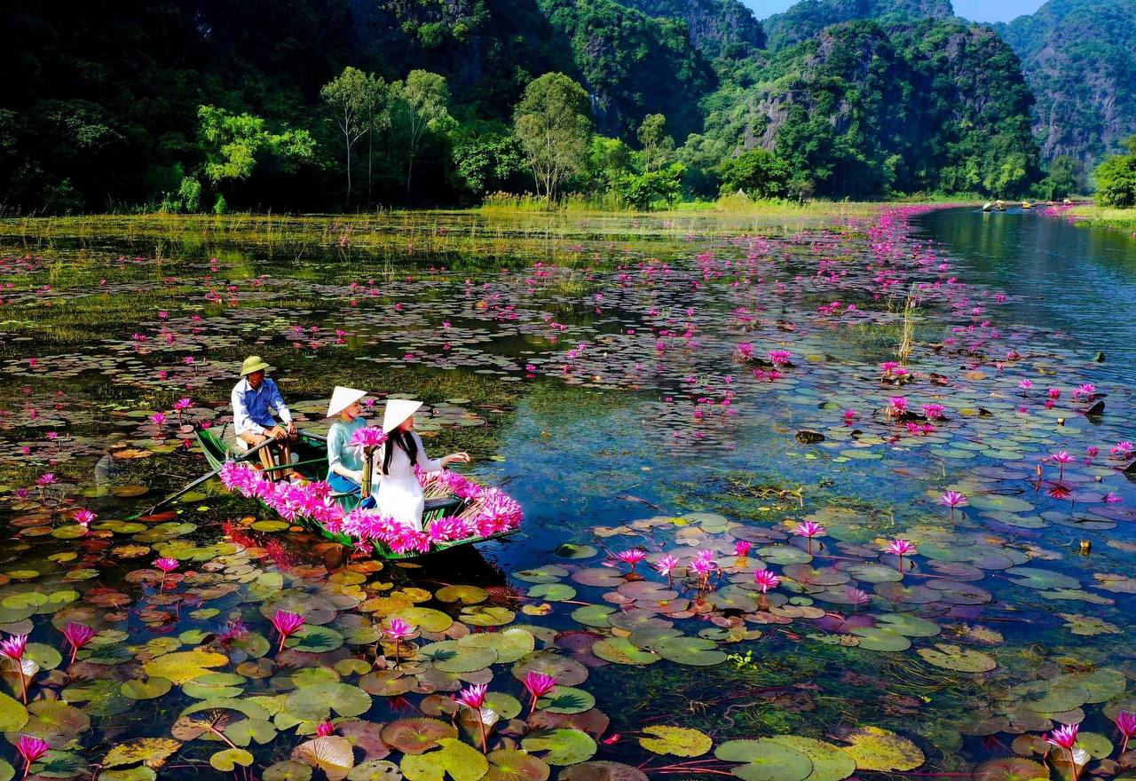 Tam Cốc - Ninh Bình mùa này có gì lạ mà khách Tây cứ phải giơ điện thoại liên tục?- Ảnh 7.