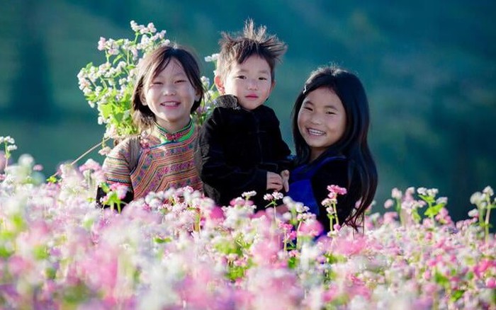 Thảo nguyên ở Hà Giang đẹp như ‘Thụy Sĩ thu nhỏ’ giữa mùa hoa tam giác mạch