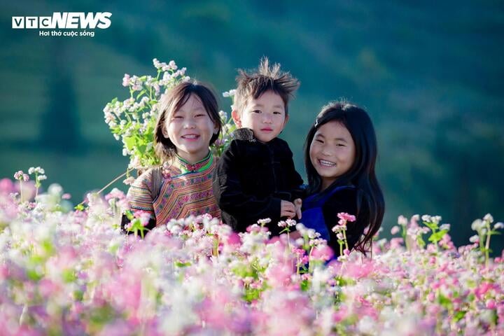 Thảo nguyên ở Hà Giang đẹp như 'Thụy Sĩ thu nhỏ' giữa mùa hoa tam giác mạch - Ảnh 6.