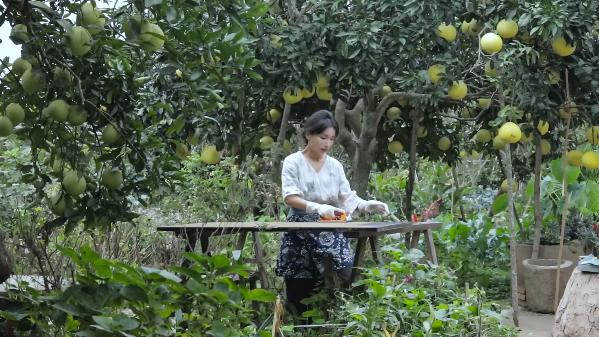 Lý Tử Thất tái xuất "kinh khủng" sau 3 năm vắng bóng, đạt ngay kỷ lục chỉ với 3 video - Ảnh 2.